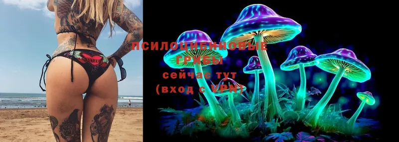 где найти наркотики  KRAKEN вход  Псилоцибиновые грибы Cubensis  Грязи 